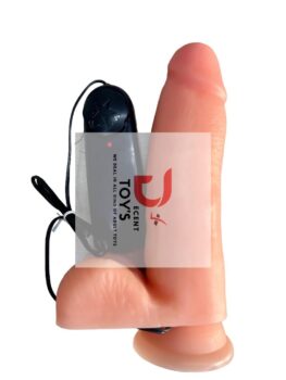 Silicon Dildo & Vibration Controller